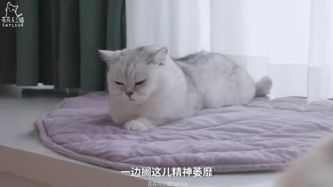 This 1-Minute Story Will Inspire You