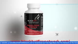 AFRICAN WARRIORS HISTORY ERASED