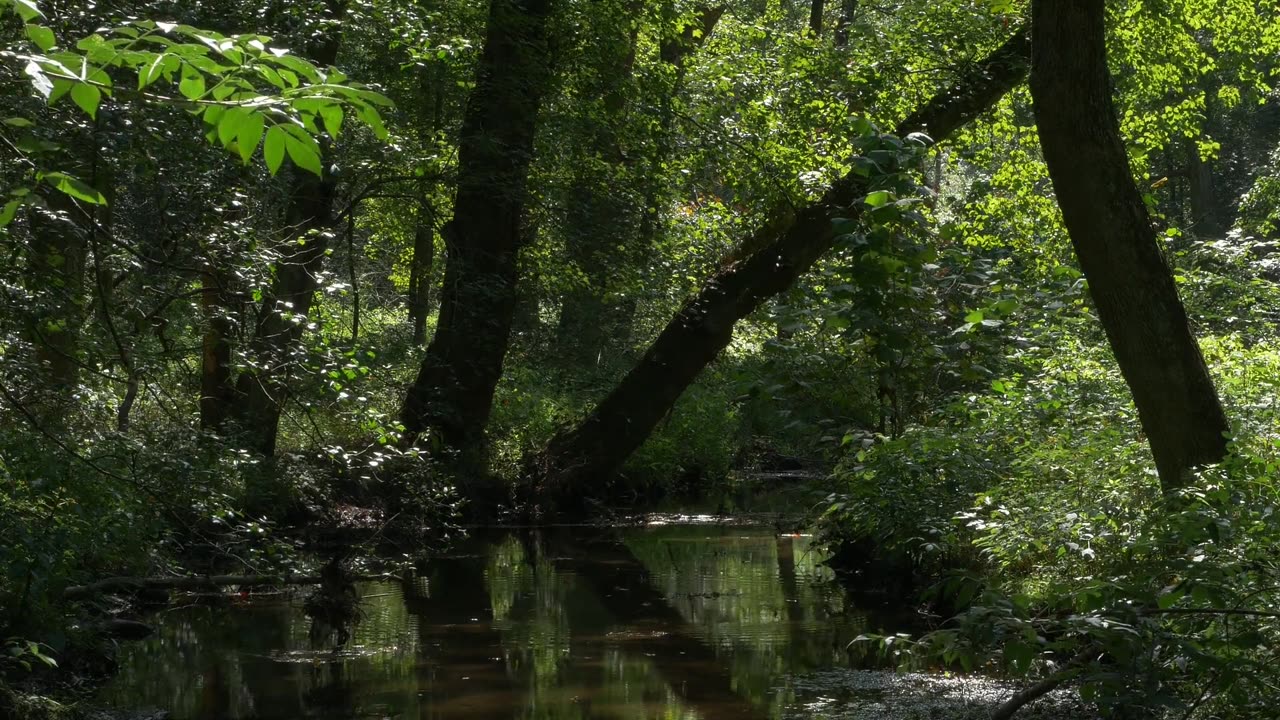 "The path to success is to take massive, determined action."