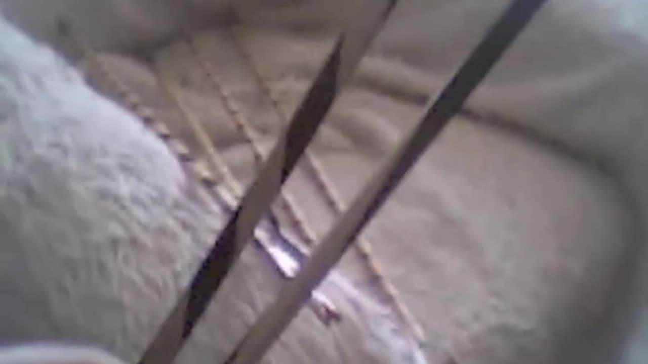 Spirálovité Šípy v Lukostřelbě / Spiral Arrows in Archery [CZ/EN]