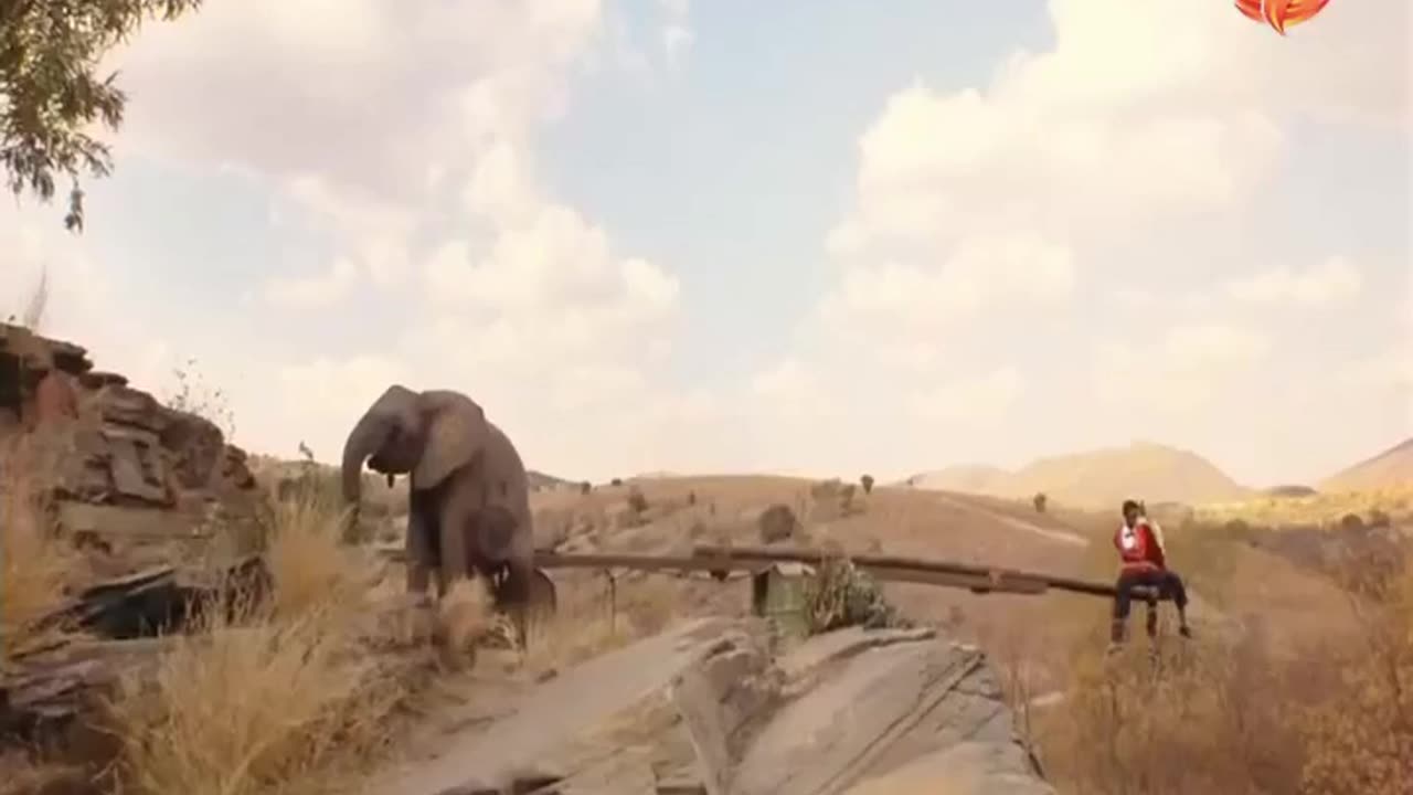 The punishments given to the two who hunted for fun