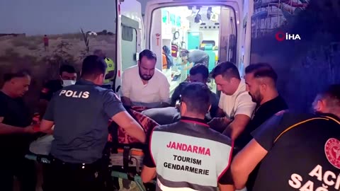Lion escapes from zoo and wounds farmer in Turkey