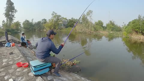 Dace Races the Sparkling Current