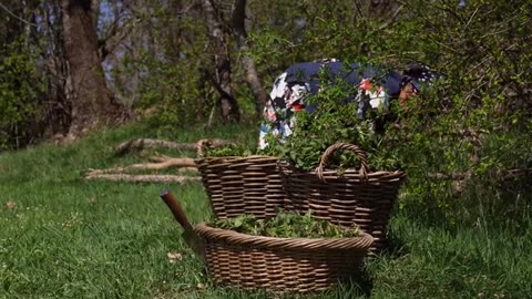 Cooking Spring Kutabs Spring Food from Nature_part1
