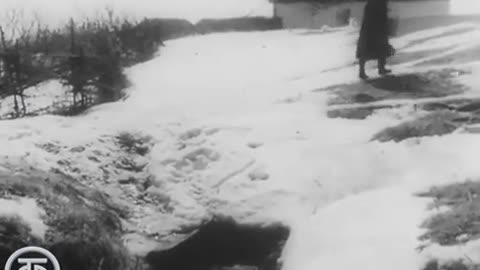 Mijaíl Sholojov. Sobre La Vida Y Obra Del Escritor