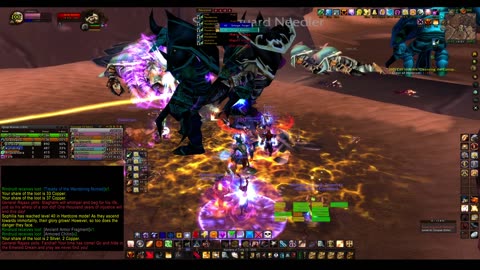 Turtle Wow - PUG AQ20 - Paladin POV - no commentary