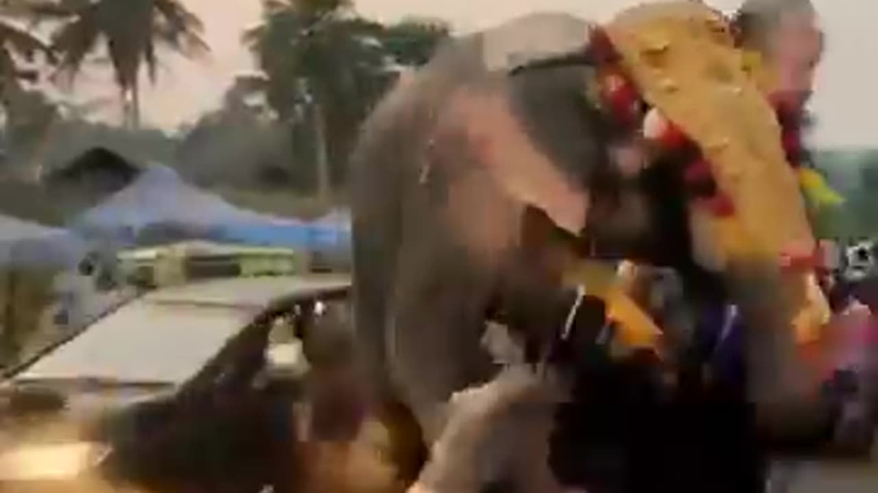 Unbelievable Indian Elephant Attack! 😱 | Kerala News #shorts 🐘"
