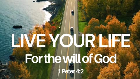 Live your life