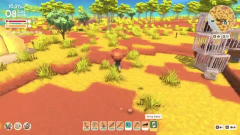 Co-op Australian Animal Crossing - Dinkum!