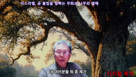 250510 무화과 나무와 열매는 율법의 알레고리