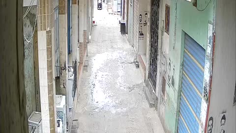 Camera1_arb_arb_20251103113711_20251103132446_597312