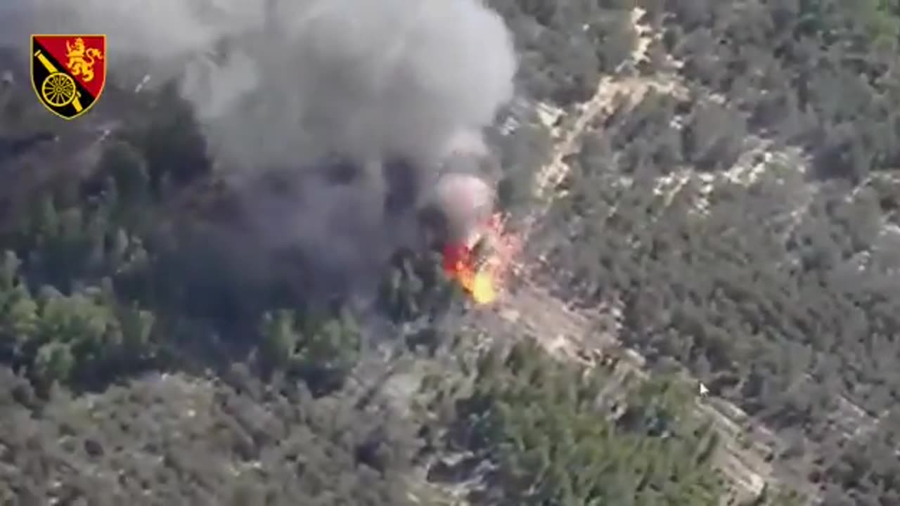 Swedish Archer decimates Russian artillery