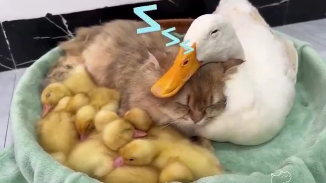 That is absolutely the sweetest ever!! ❤️