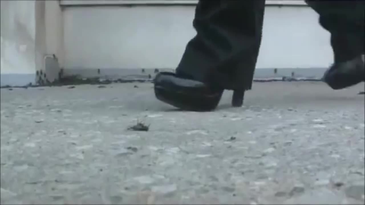 Reporter Crushes Crickets
