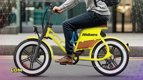 Hidoes C8 Electric Bike 700W Motor 48V 17AH Battery 20*4 inch Fat Tire Electric Bike