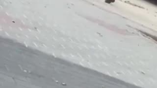 North Africans in Spain continue to attack defenseless elderly people in broad