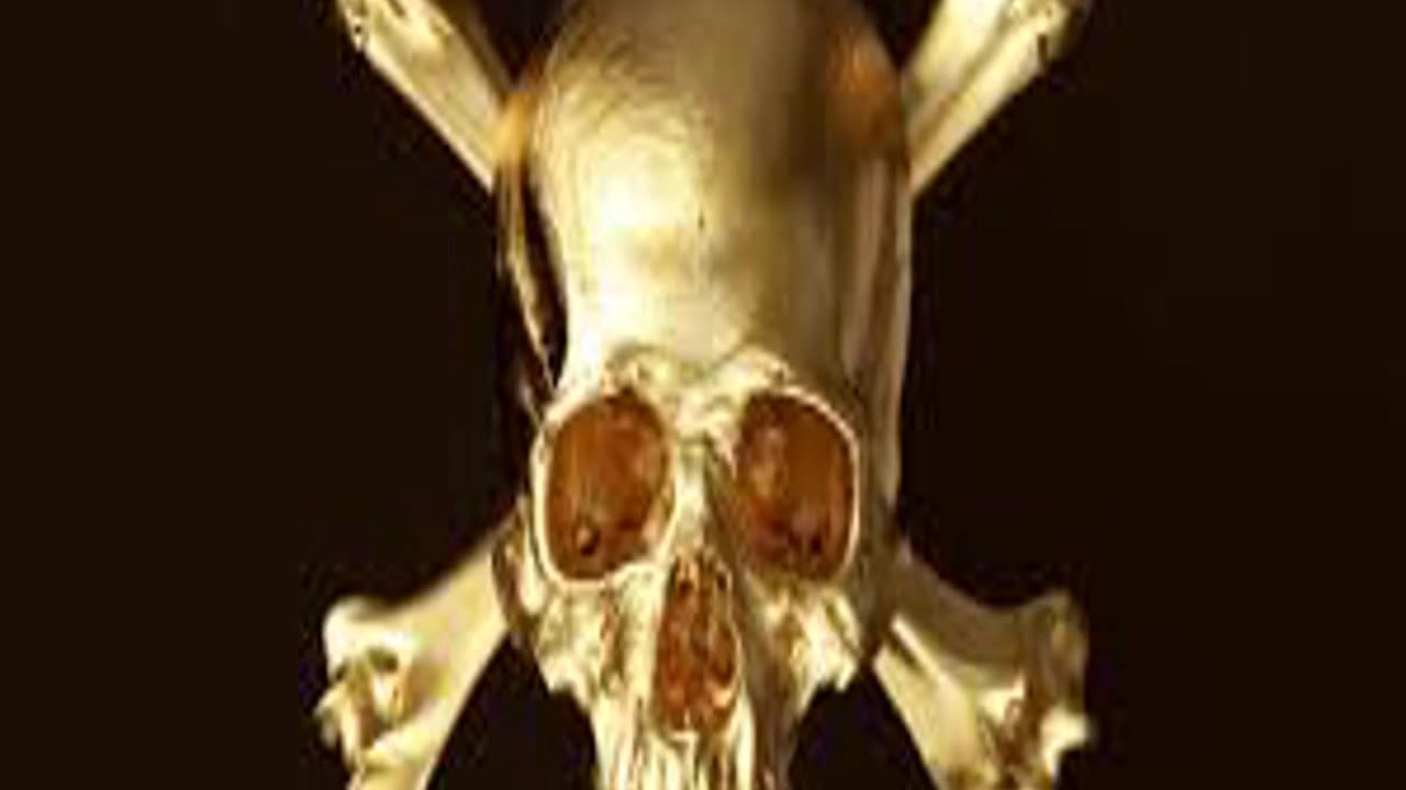 Scary For Kids The Stare