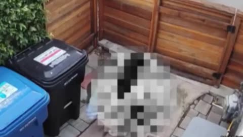 AMAZON WETBACK NIGGER SHITS AND PISSES LIKE AN ANIMAL