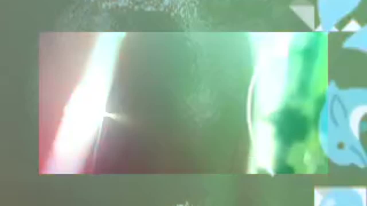 Purchases Of Pursuits