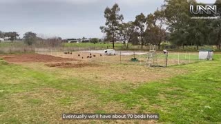 Fresh, local, organic! Tamworth garden feeds cafes & restaurants.