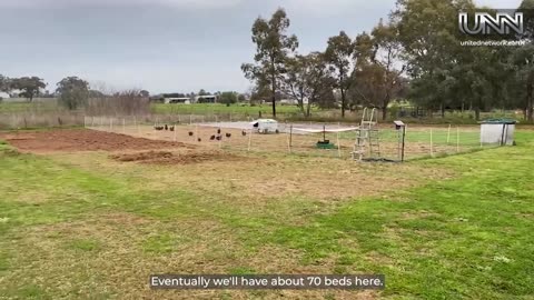 Fresh, local, organic! Tamworth garden feeds cafes & restaurants.