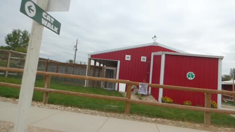 Heading back over to the outdoor monkey exhibits