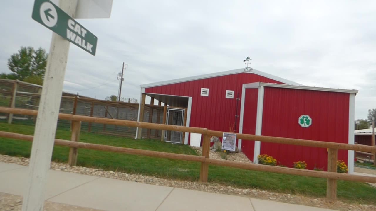 Heading back over to the outdoor monkey exhibits