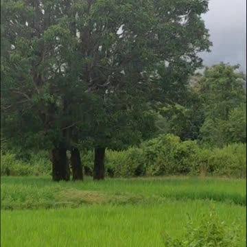 Beautiful road and scenery