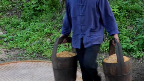 玉米酒的历史也可追溯至明朝，经过精心的发酵与蒸馏工艺，形成了地方独有的特色。#古法酿酒 #非遗文化传承 #乡村守护人 #传统工艺酿酒