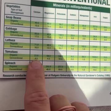 Organic vs Conventional