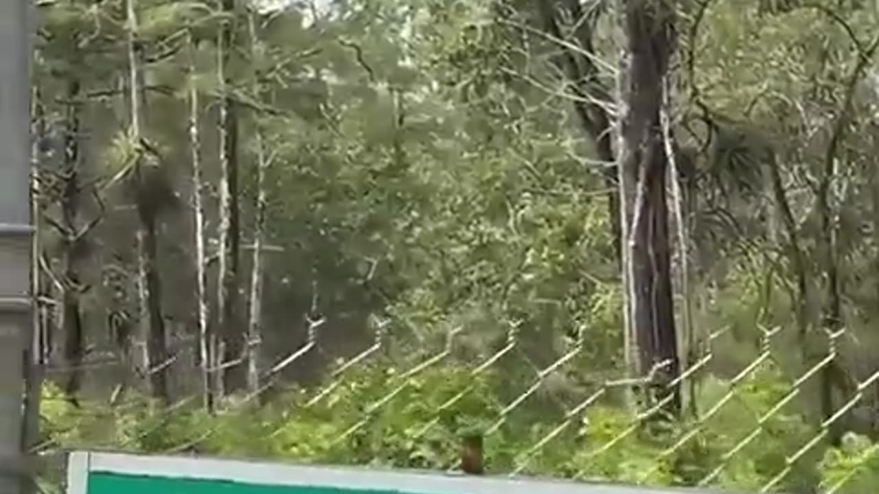 Enorme aereo cargo militare