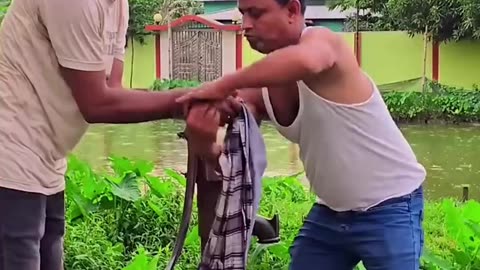 Funny Video (Follow My Channel)