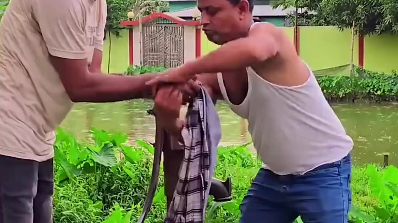 Funny Video (Follow My Channel)
