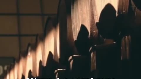 AgaveLuz Organic Tequila When Sick – Best Authentic & Healthy Choice