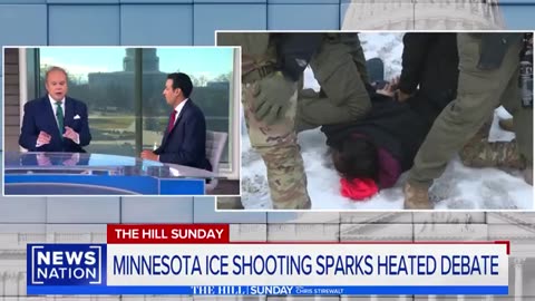 This Doesn't Have To Be A Partisan Issue': Rep. Subramanyam Calls For Check On ICE