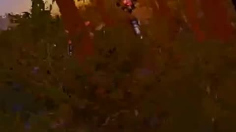 Real Life Adventure: A Quick Glimpse!