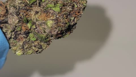Hawaiian Punchz THC Flower
