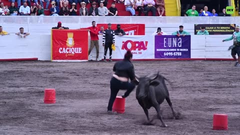 🇨🇷🐃 Costa Rica celebra los 'toros a la tica' para despedir el año