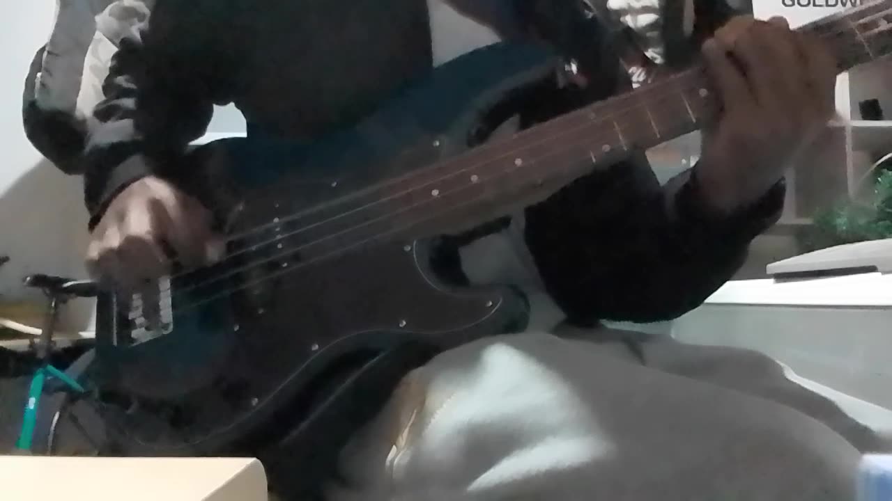 A7X Blind In Chains | Bass Cover