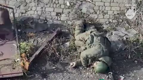 "Skelya" Regiment in Pokrovsk