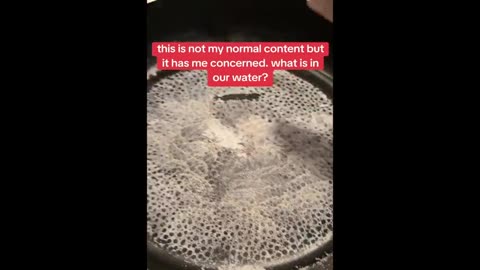 SOMETHING IS IN THE WATER AND FOODS - A JAMES LAFLEUR VIDEO