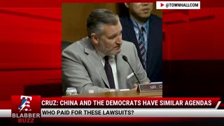 Cruz: China And The Democrats Have Similar Agendas