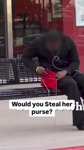 Negro Man Returns White Womans Purse But Makes a Reparations Withdrawal First