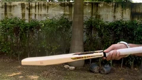 "Powerful Cricket Bat | Maximum Shots, Maximum Style!"