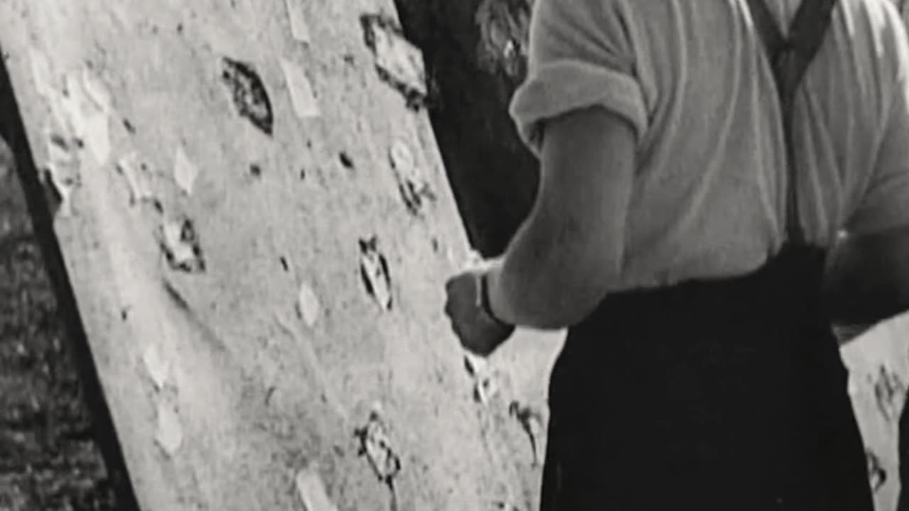 Messerschmitt Bf 109 E pilots practice strafing ground targets in 1939