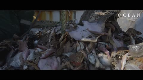 OCEAN WITH DAVID ATTENBOROUGH BOTTOM TRAWLING OFFICIAL CLIP IN CINEMAS NOW Altitude Films