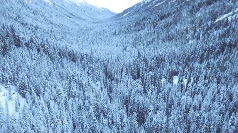 Snowy Mountain Healing: Calming Snowfall & Sunlit Peaks | Mindful Haven