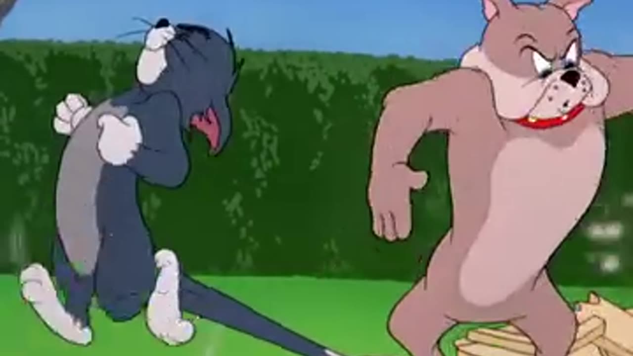 Tom and jarry funny vidieo