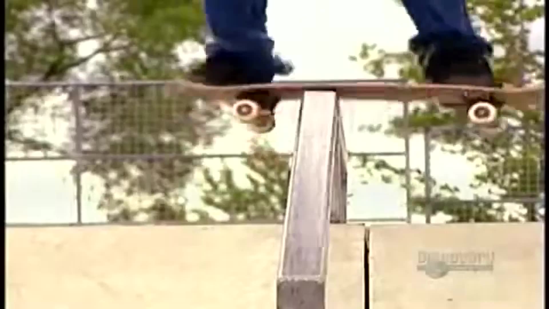 Alice Dog [m8 tricks remix]