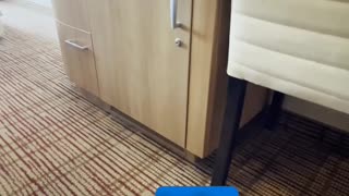 Balcony Partial View Cabin Overview | Celebrity Reflection
